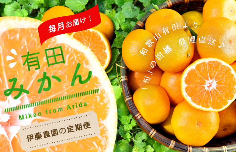 みかんジュースは100%ピュアジュース | 和歌山県有田の伊藤農園