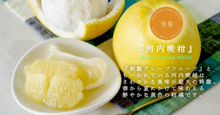 河内晩柑