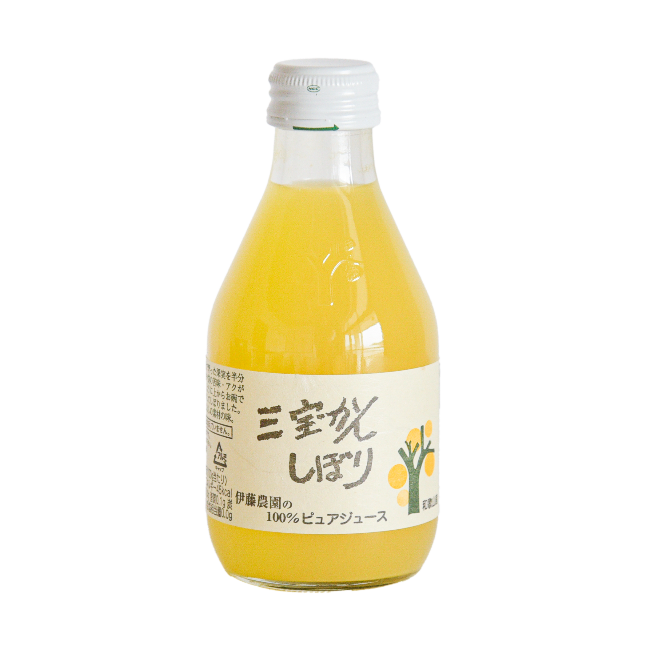 三宝柑