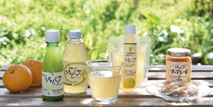 ジャバラ商品 | みかんジュースは100%ピュアジュース | 和歌山県有田の伊藤農園
