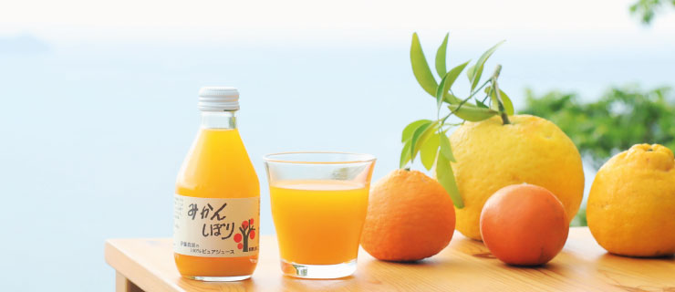 １００ ピュアストレートみかんジュース180ml みかんジュースは100 ピュアジュース 和歌山県有田の伊藤農園