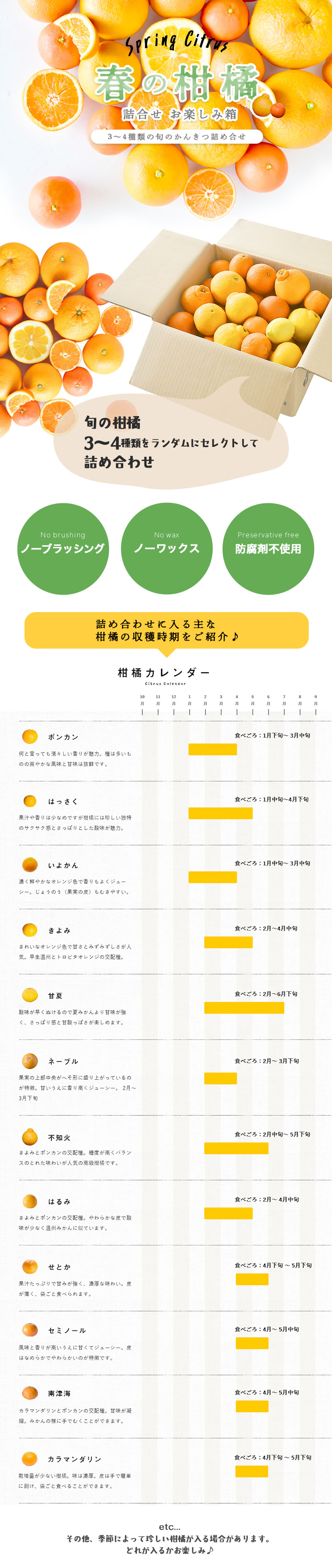 春かんきつお楽しみ箱 | みかんジュースは100%ピュアジュース | 和歌山