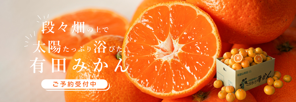 みかん予約開始