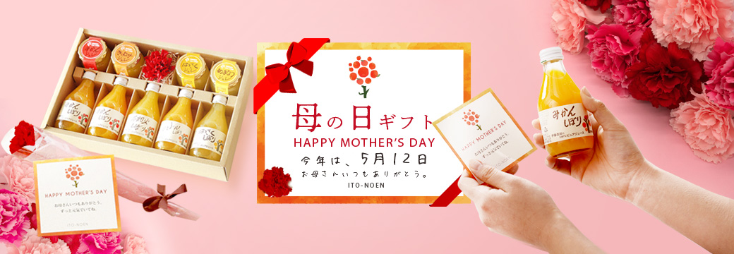 好評限定品 母ちゃん配信へようこそ｜