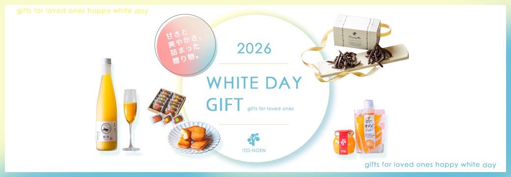 20260220_whi_day_l2.jpg