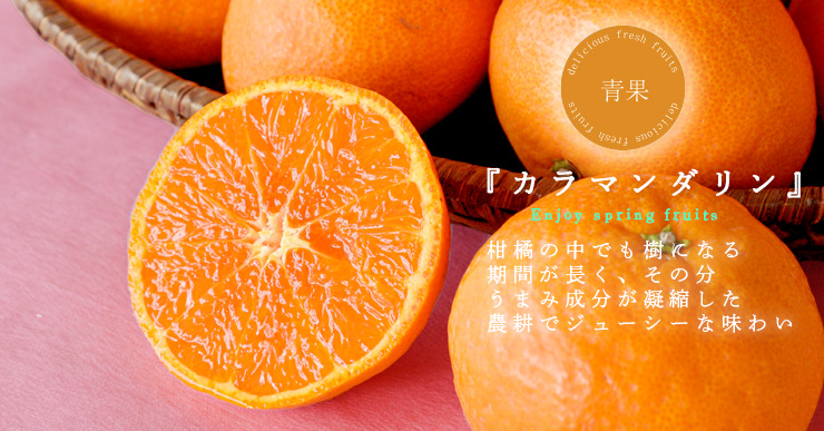 カラマンダリン｜Kara Mandarin | 和歌山有田より温州みかんをはじめ、かんきつの生産、加工、販売 柑橘の専門店 | 和歌山県有田の伊藤農園