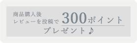 レビューで300ポイント