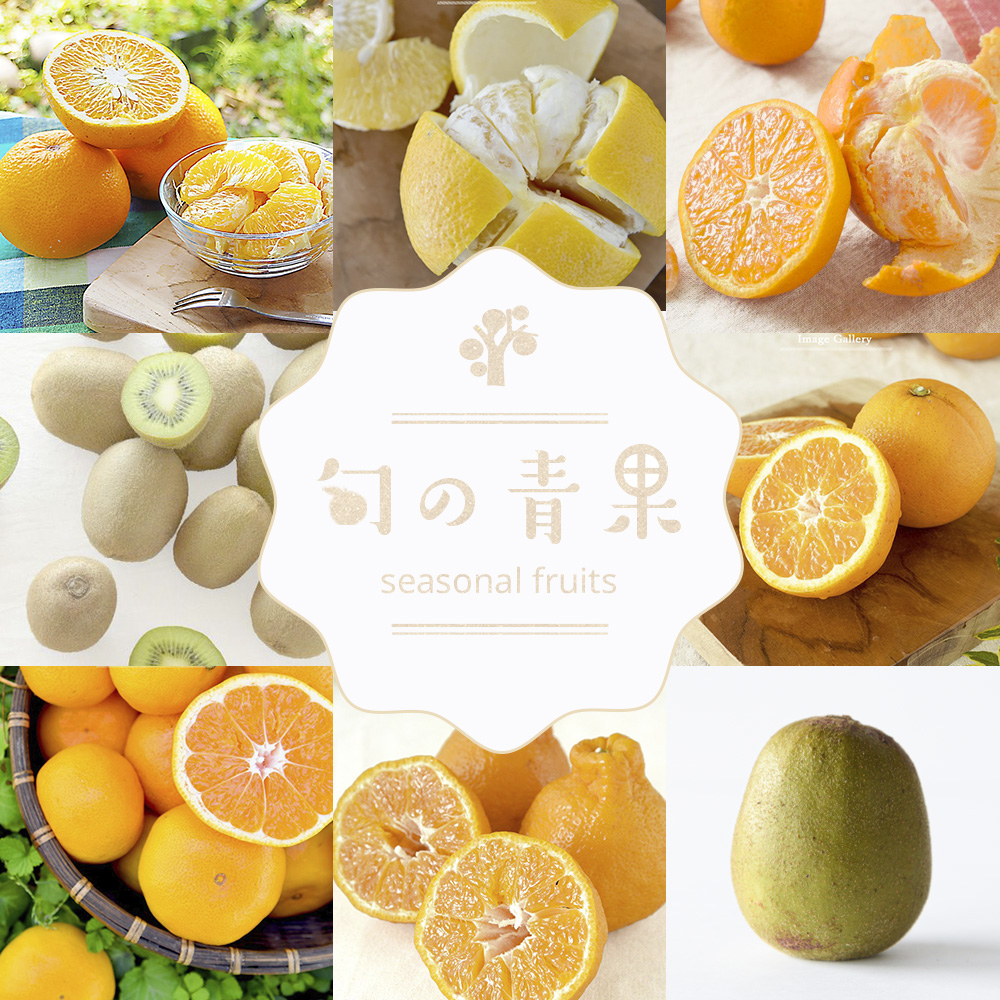 季節のおすすめ1