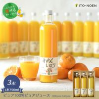 【よりどり選べるギフト】100%ピュアジュース750ml(みかんジュース他14種)×3本セット