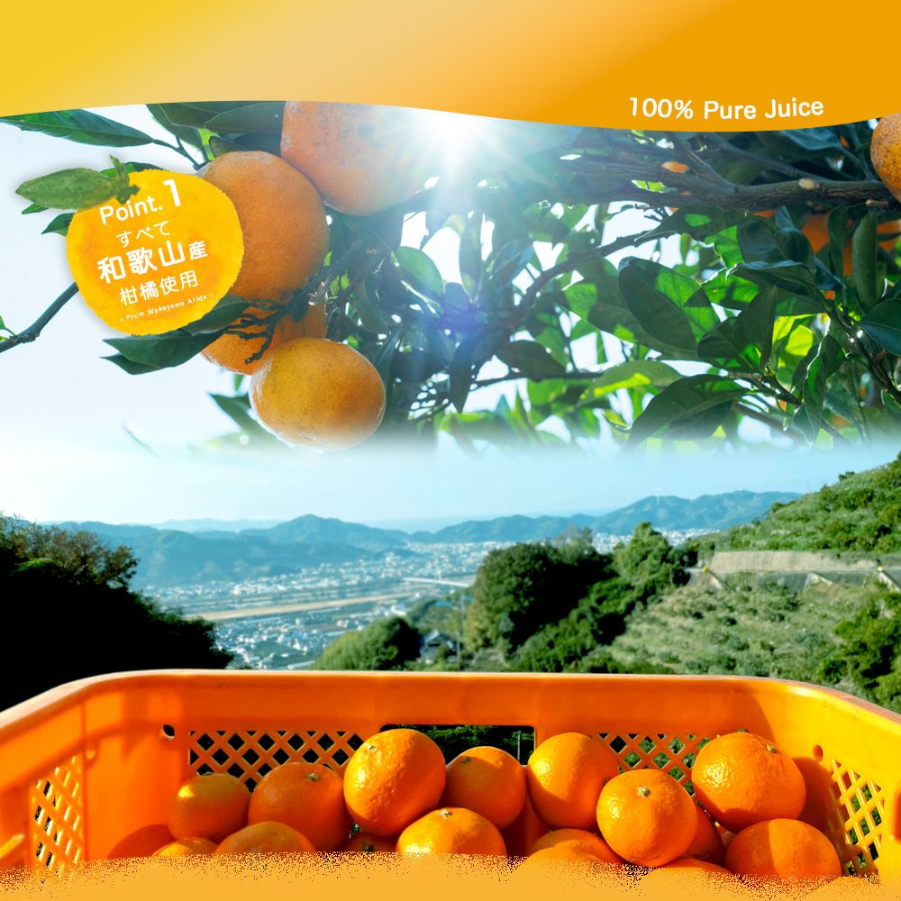 【よりどり選べるギフト】100%ピュアジュース750ml(みかんジュース他14種)×3本セット