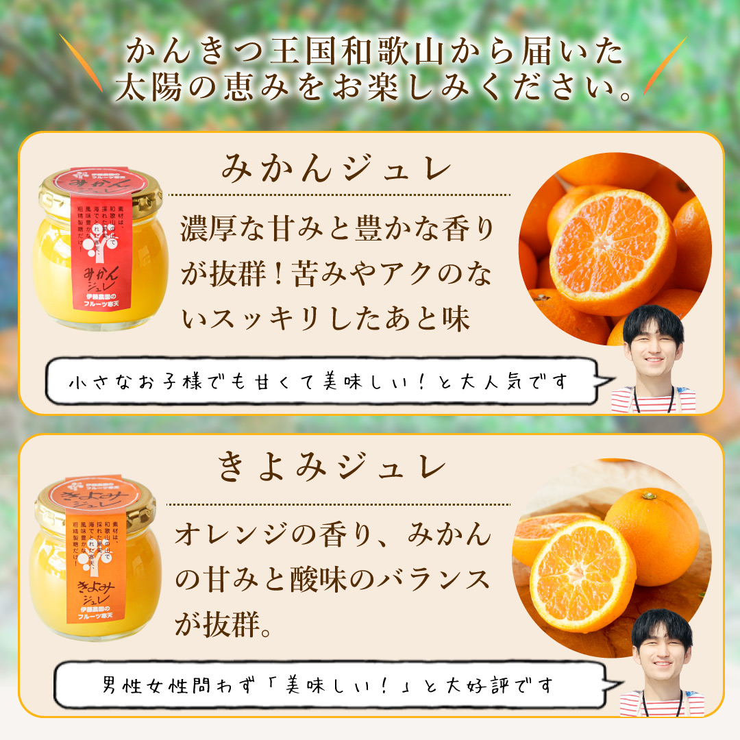 【よりどり選べるギフト】寒天ゼリー90g(みかんゼリー他5種)×8個 ギフト