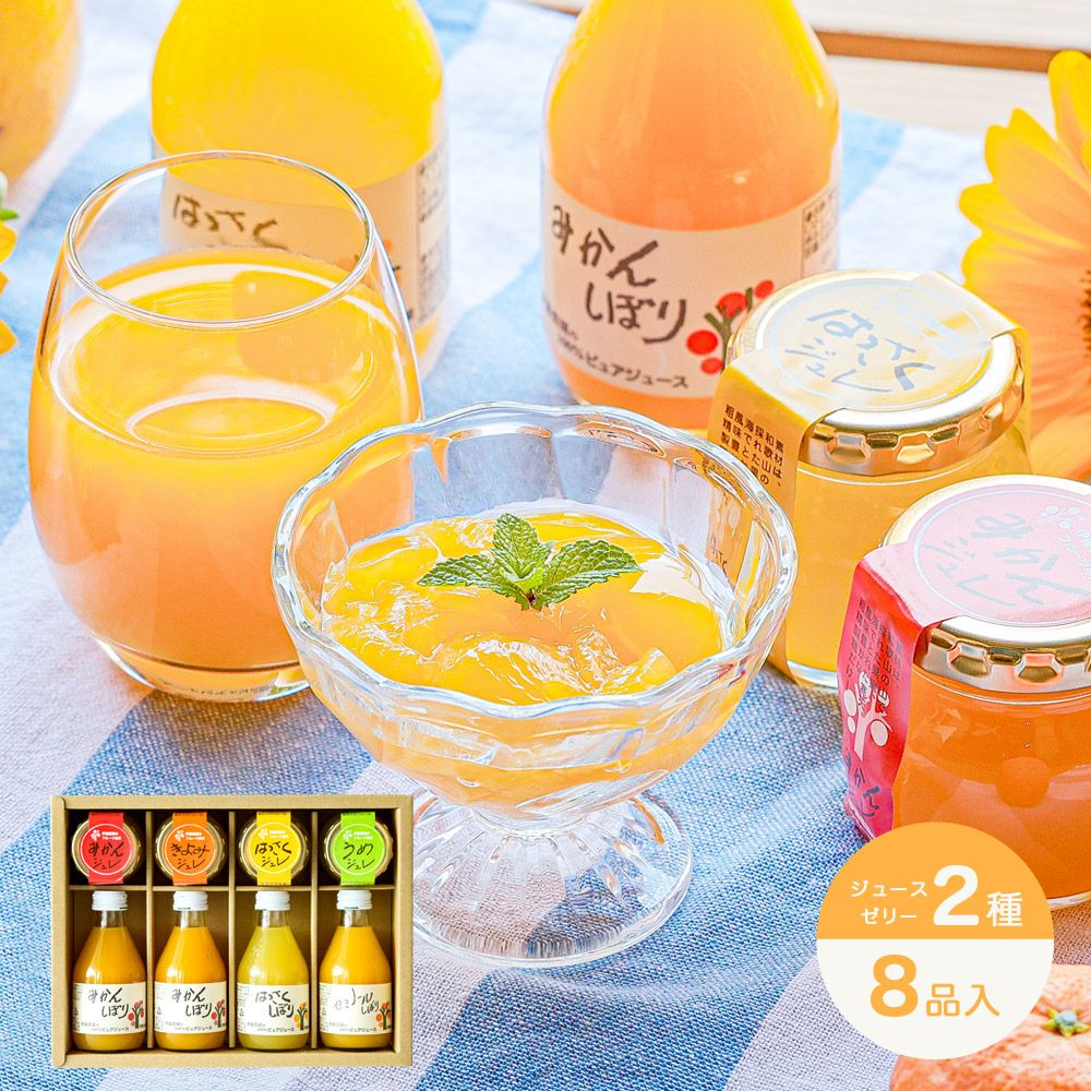 バラエティーセットV-023 (みかんジュース他バラエティセット)