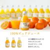 バラエティーセットV-023 (みかんジュース他バラエティセット)