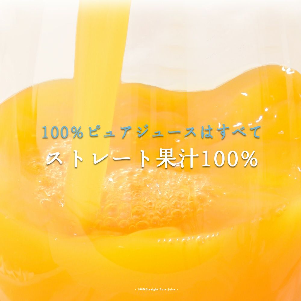 バラエティセット(100%ピュアジュース180ml×7本・素朴ドリンク3本)V-032