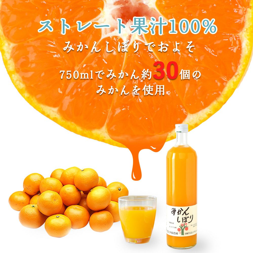 バラエティーセットV-053 (みかんジュース バラエティセット)