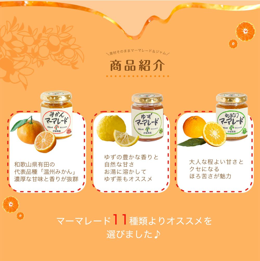 バラエティーセットV-053 (みかんジュース バラエティセット)