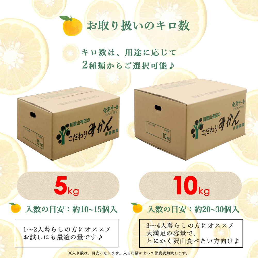 2月中旬以降|順次発送予定】【春季限定】甘夏(あまなつ)【贈答用