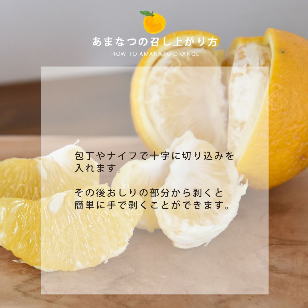 2月中旬より発送予定】【春季限定】甘夏(あまなつ)【贈答用(特選品