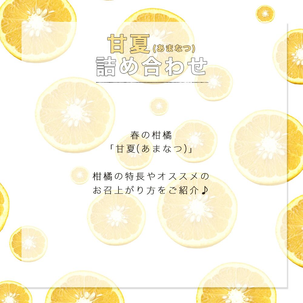 甘夏(あまなつ)甘夏【家庭用(訳あり品)】5・10kg