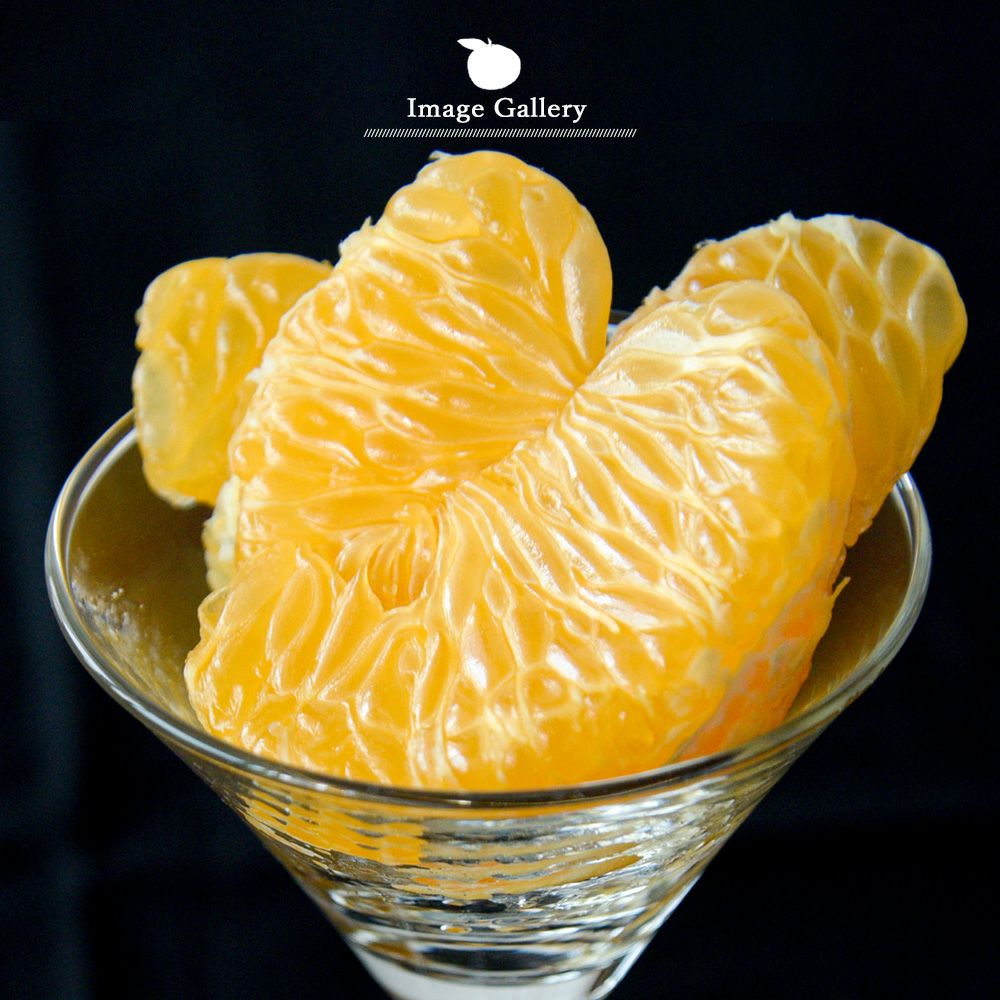 木成り八朔（はっさく）【贈答用(特選品)】5kg・10kg