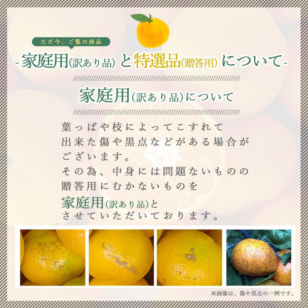 きよみ【家庭用(訳あり)】5kg・10kg