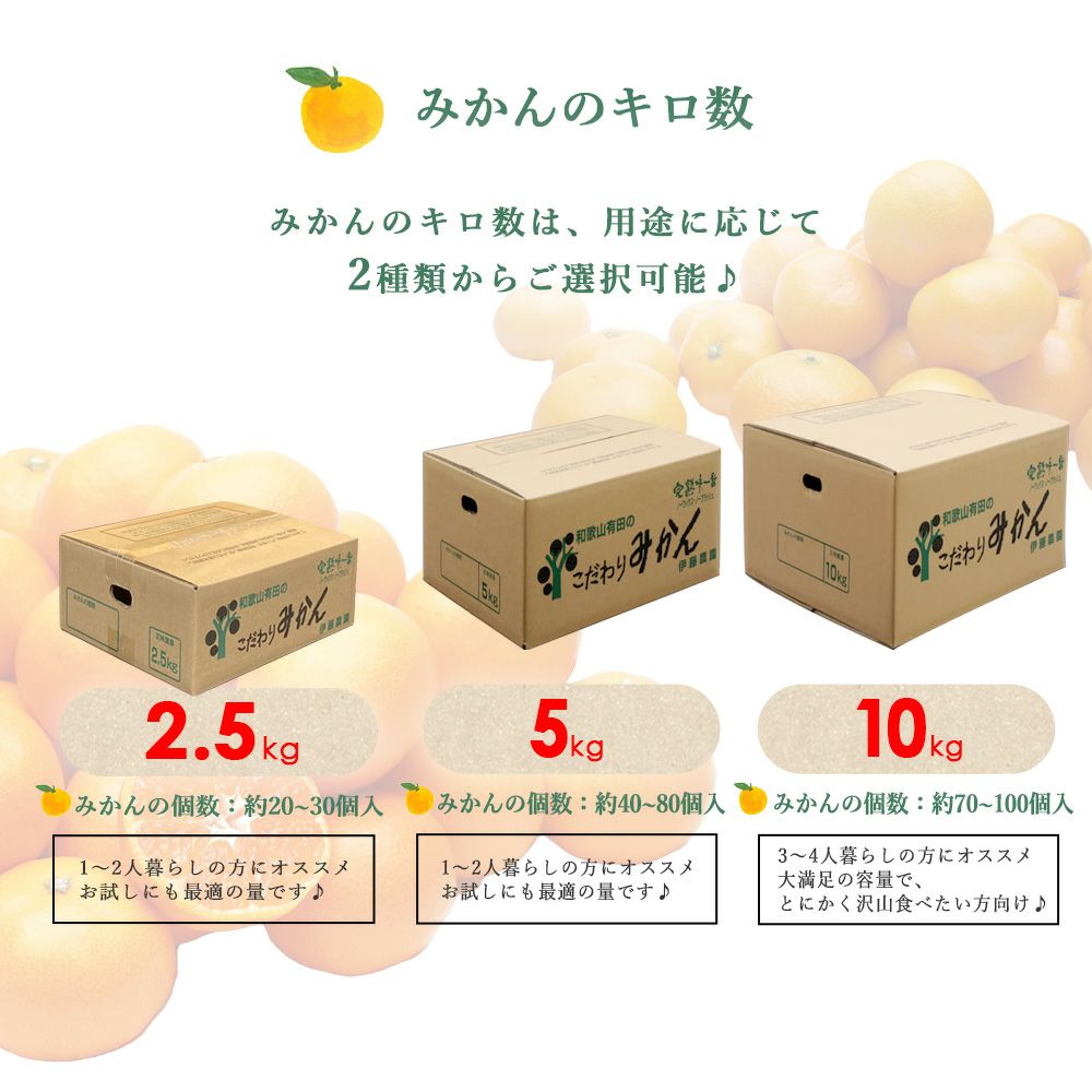 みかんS～Mサイズ【特選品(贈答用)】