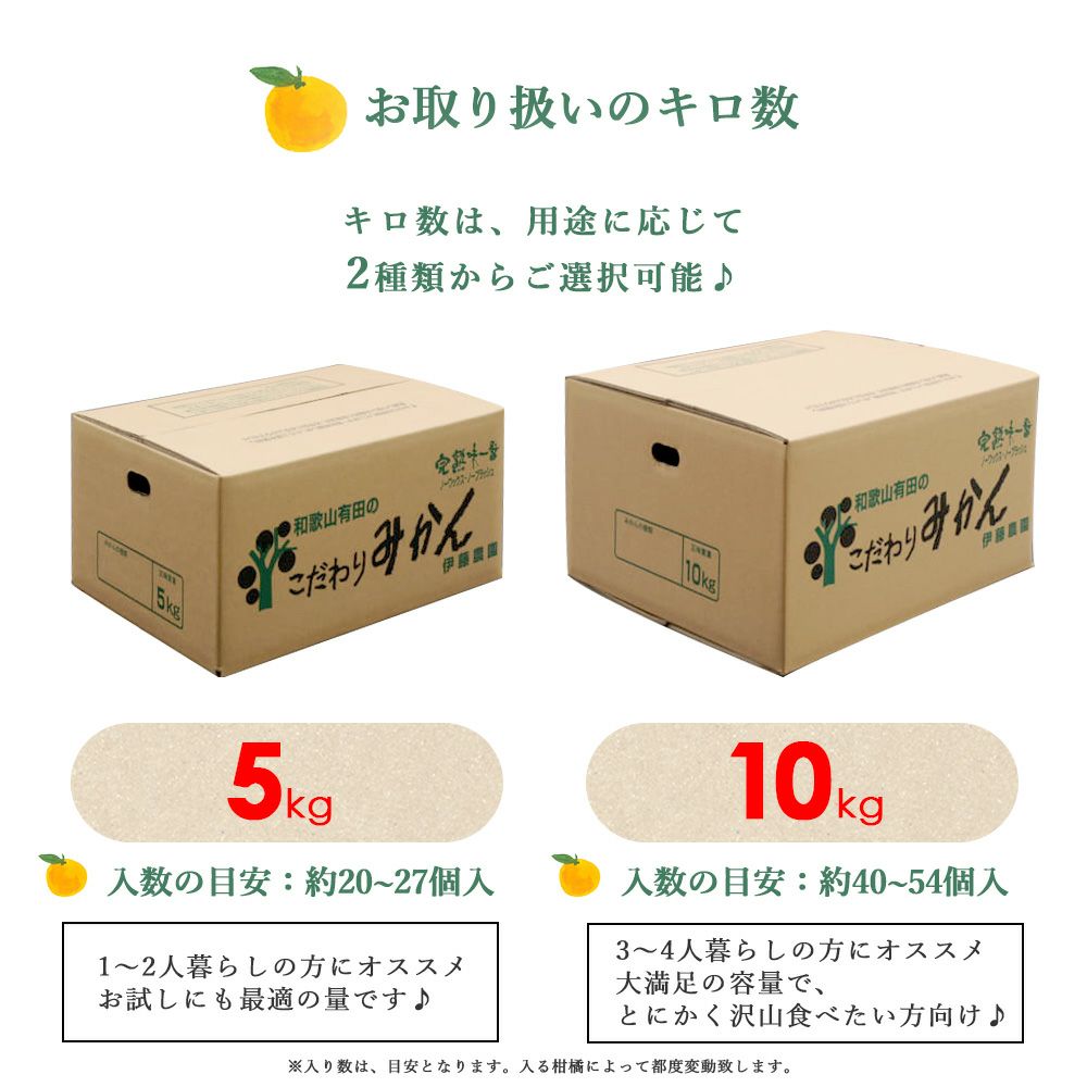 伊予柑(いよかん)【家庭用(訳あり)】5kg・10kg