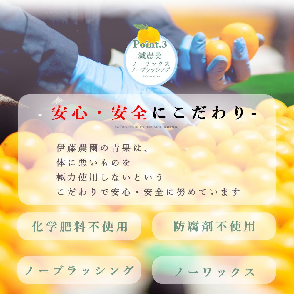 セミノール【贈答用(特選品)】5・10kg