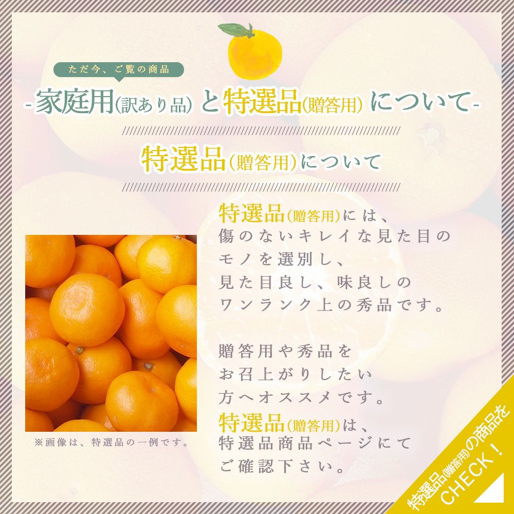 セミノール【贈答用(特選品)】5・10kg