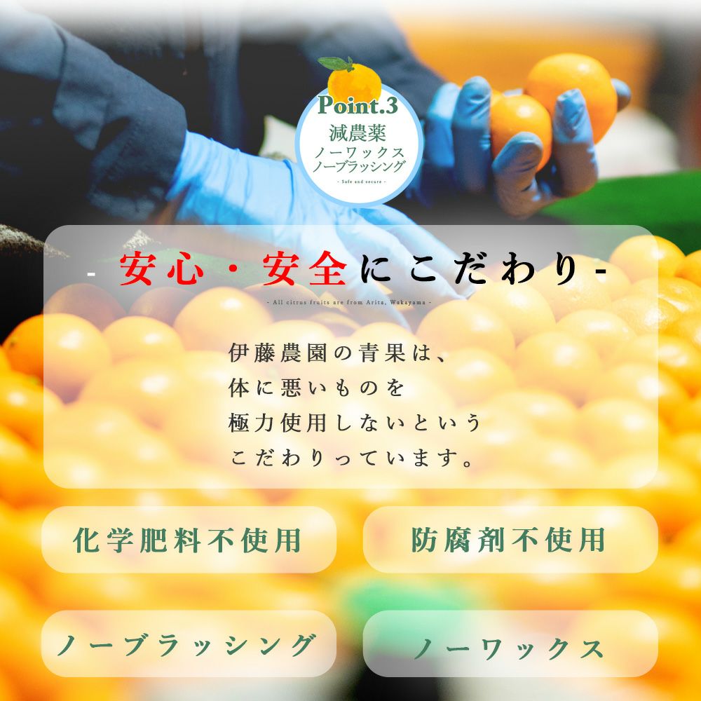 セミノール【家庭用(訳あり品)】5・10kg