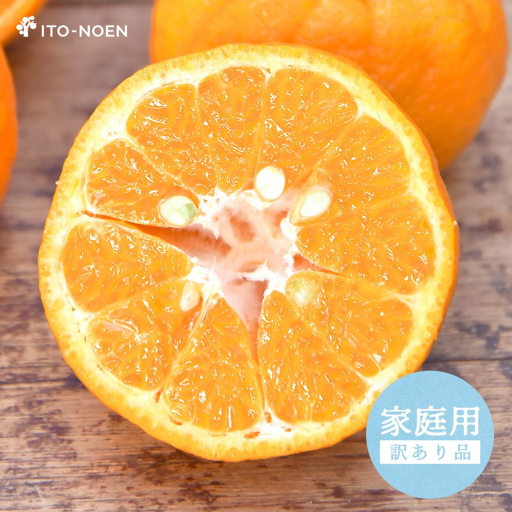 2月上旬より順次発送予定】【春季限定】ポンカン【家庭用(訳あり)】 5