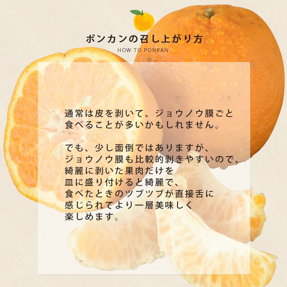 ポンカン【家庭用(訳あり)】 5・10kg