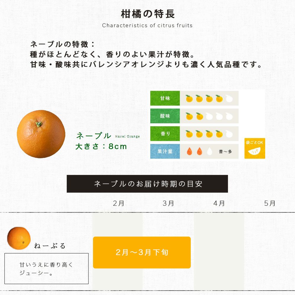 ネーブル【贈答用(特選品)】5・10kg