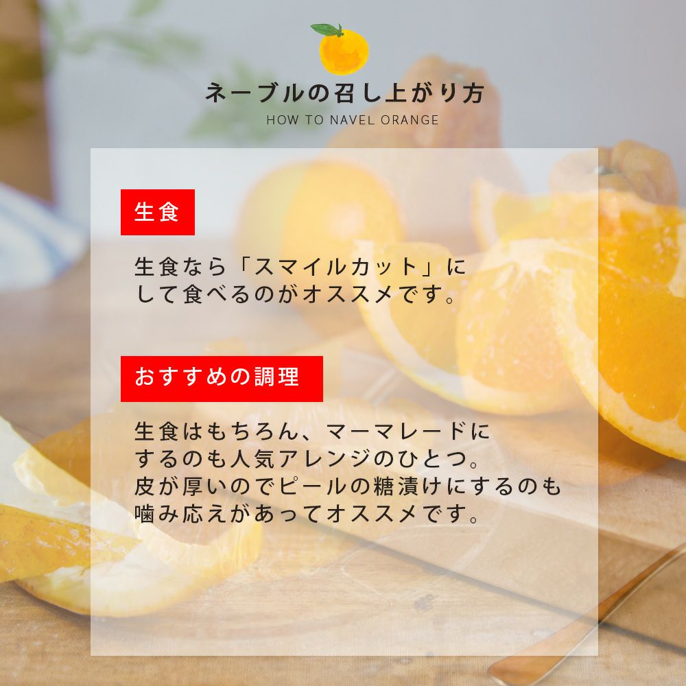 ネーブル【贈答用(特選品)】5・10kg