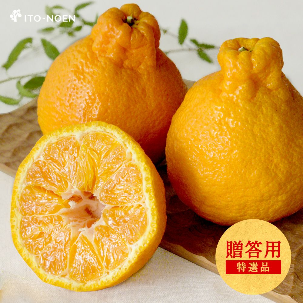 不知火