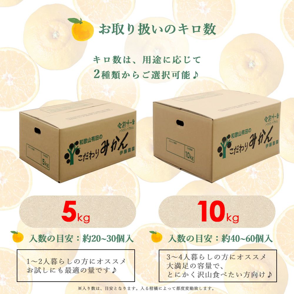 【2月中旬より順次発送】不知火(デコポン) 【家庭用(訳あり)】10kg