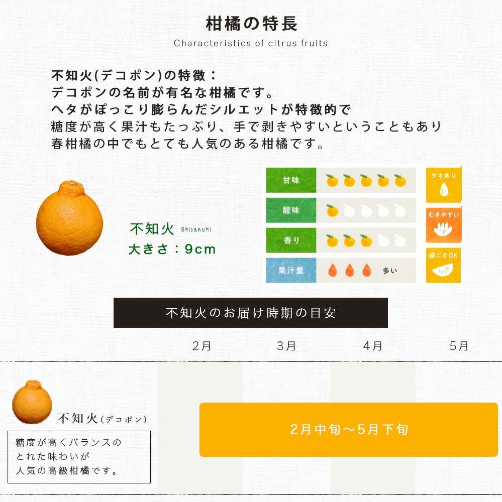 3月上旬以降|順次発送予定】【春季限定】不知火(デコポン