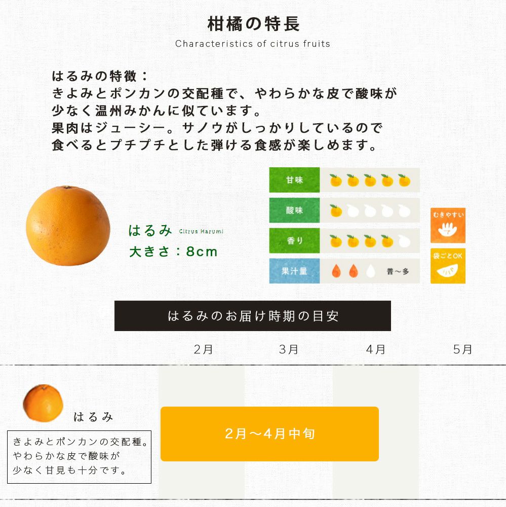 甘みと酸味のバランスの取れた愛媛産はるみを産地直送【お試し 6kg】