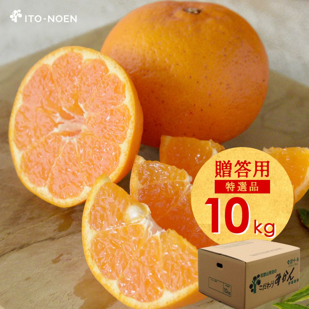 【3月上旬以降 順次発送予定】はるみ【贈答用(特選品)】5kg・10kg