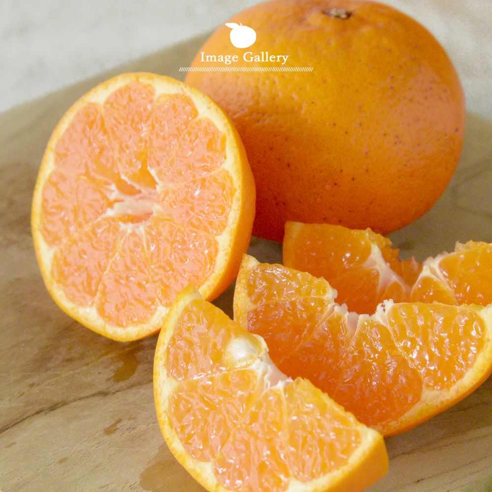 はるみ【家庭用(訳あり)】5kg・10kg