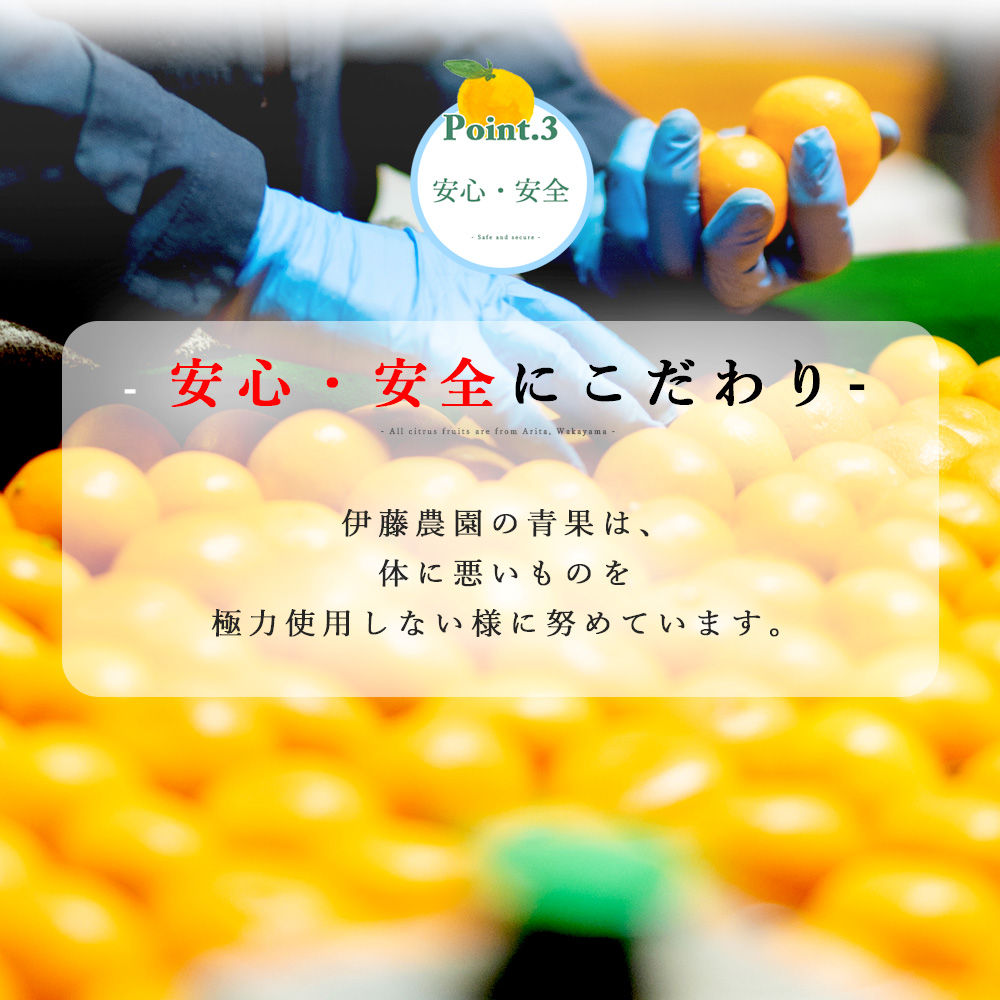 ばれんしあ【贈答用(特選品)】10kg