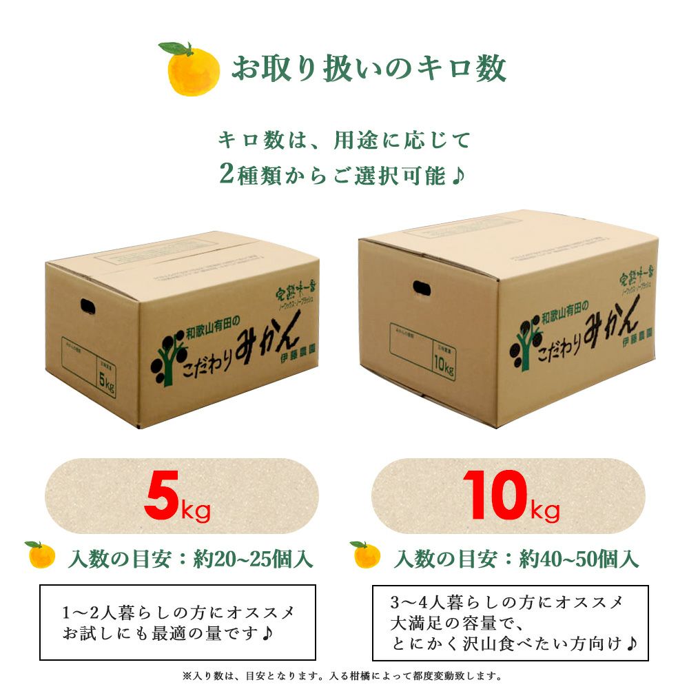 バレンシアオレンジ(ばれんしあ)【家庭用(訳あり品)】