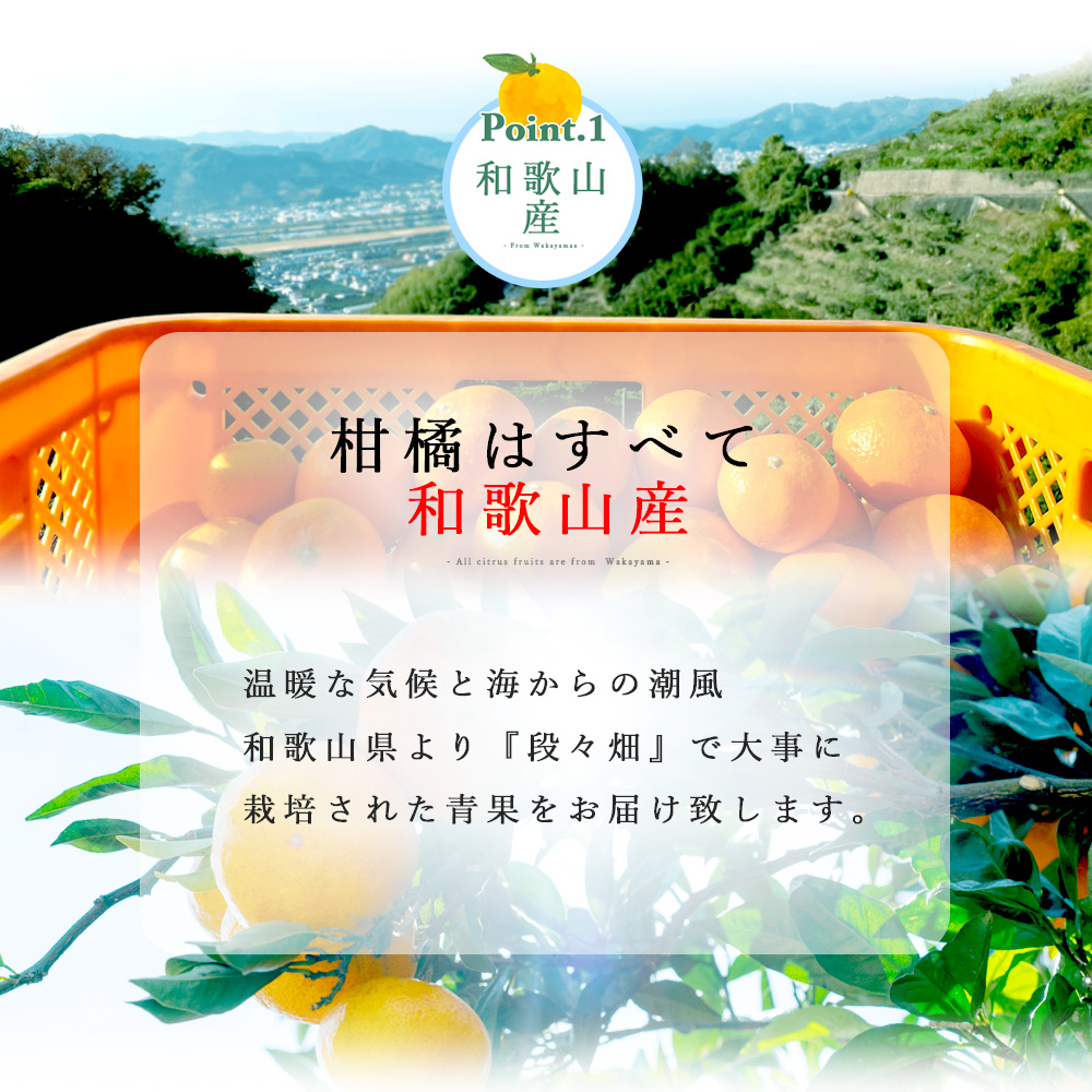 ばれんしあ【家庭用(訳あり品)】10kg