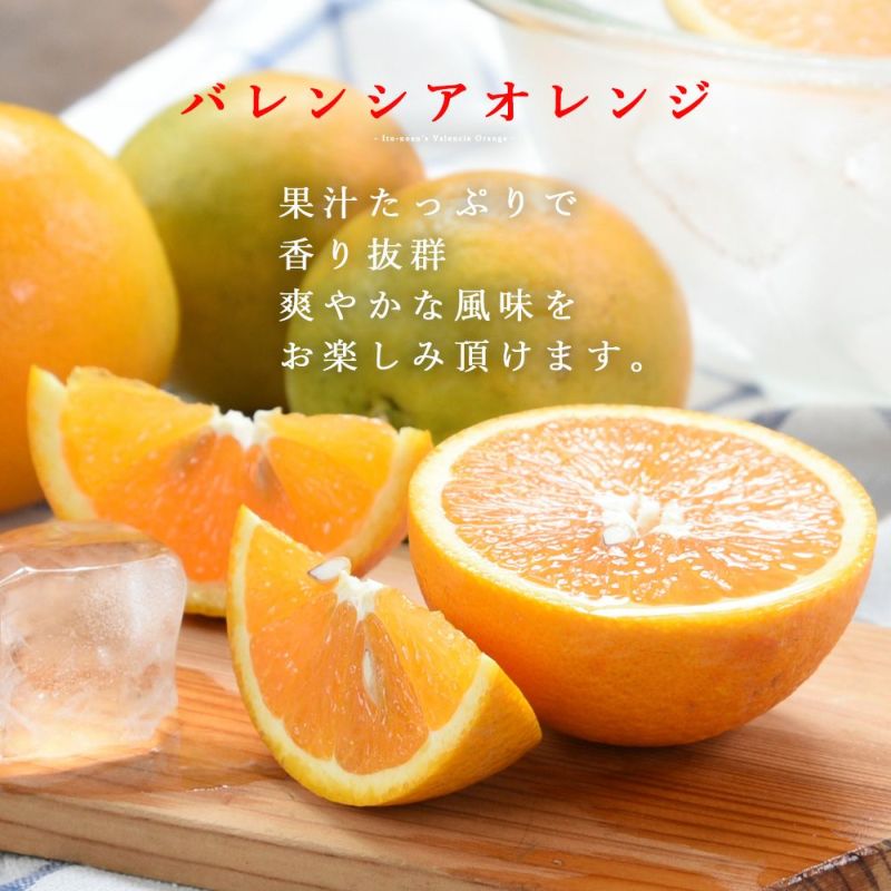 国産 バレンシアオレンジ 10kg - 通販 - inova.parelhas.rn.gov.br