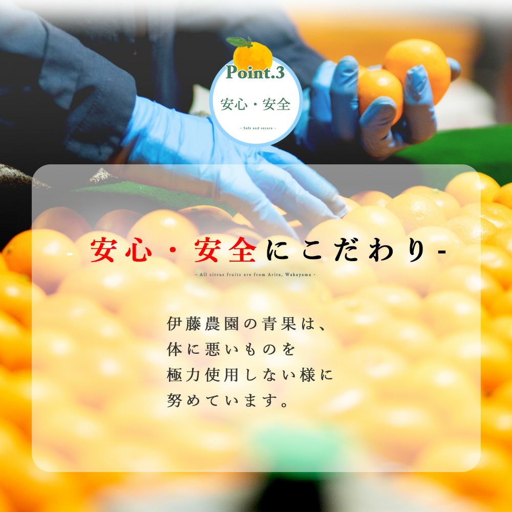 夏みかん【家庭用(訳あり)】