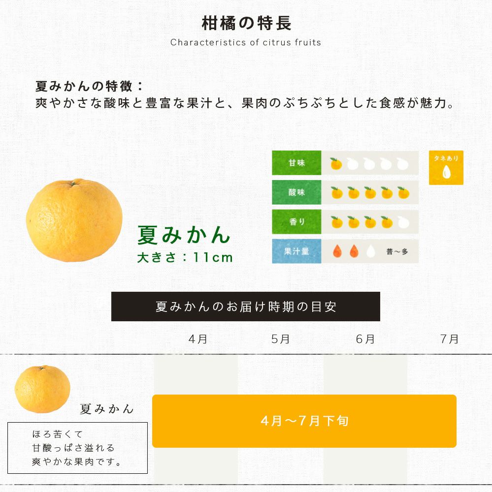 5月下旬より発送予定】【初夏限定】夏みかん【家庭用(訳あり)】 5kg