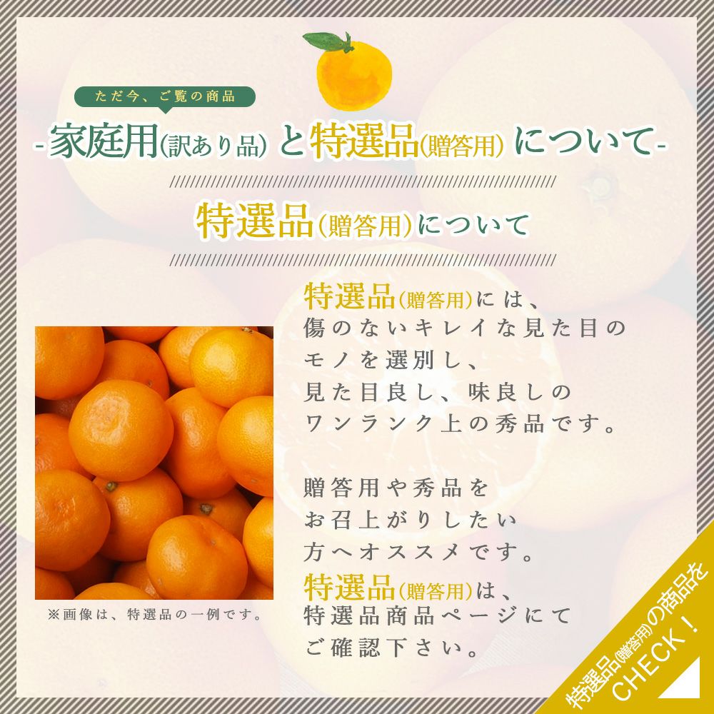 夏みかん【家庭用(訳あり)】