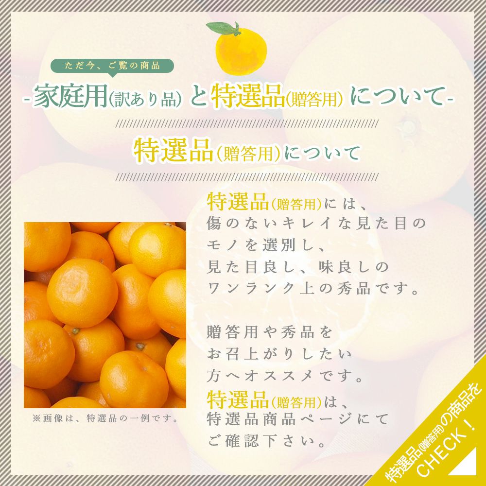 カラマンダリン【贈答用(特選品)】5・10kg