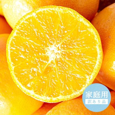 カラマンダリン｜Kara Mandarin | 和歌山有田より温州みかんをはじめ、かんきつの生産、加工、販売 柑橘の専門店 | 和歌山県有田の伊藤農園