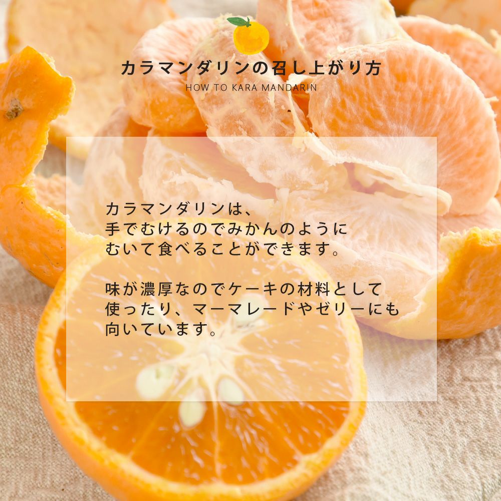 カラマンダリン【家庭用(訳あり品)】5・10kg